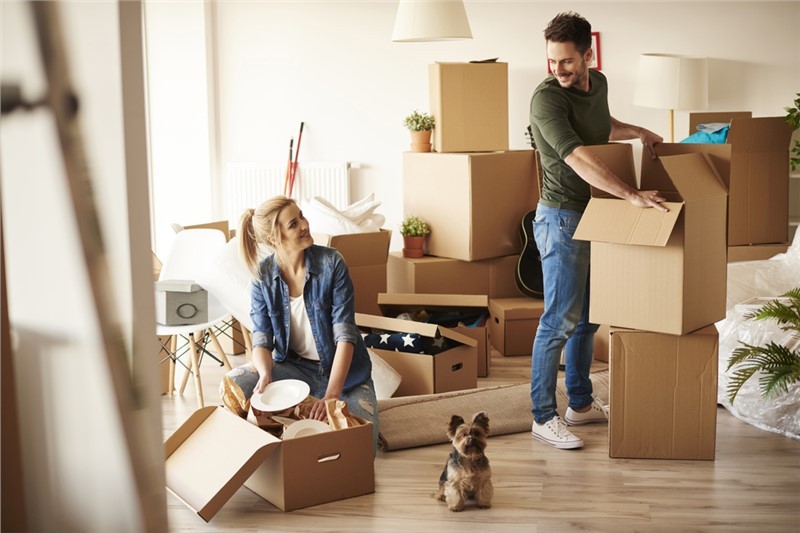The Ultimate Guide to Stress-Free Moving: Tips from JK Rapid Packers and Movers